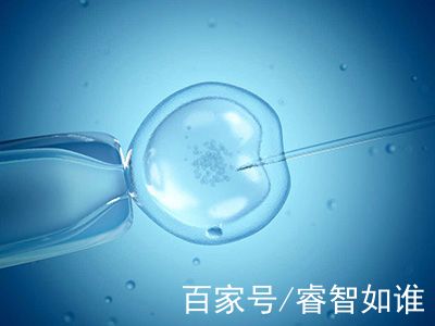 关于暖阳生殖