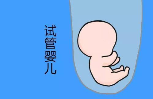 刘阳旭主任
